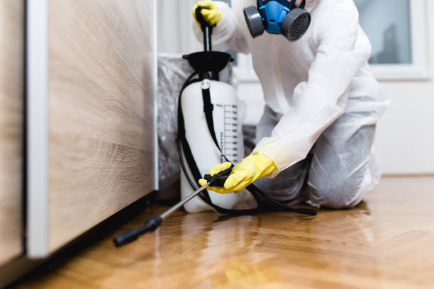 Best Mosquito Control Services  in Wheeling, IL